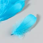 Набор перьев гуся 13-18 см, 20 шт, светло-бирюзовый - Фото 3