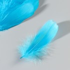 Набор перьев гуся 13-18 см, 20 шт, светло-бирюзовый - фото 7007843