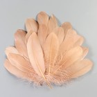 Набор перьев гуся 13-18 см, 20 шт, светло-коричневый - фото 7007845