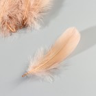 Набор перьев гуся 13-18 см, 20 шт, светло-коричневый - фото 7007847