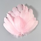 Набор перьев гуся 13-18 см, 20 шт, светло-розовый - фото 7007849