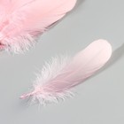 Набор перьев гуся 13-18 см, 20 шт, светло-розовый - фото 7007850