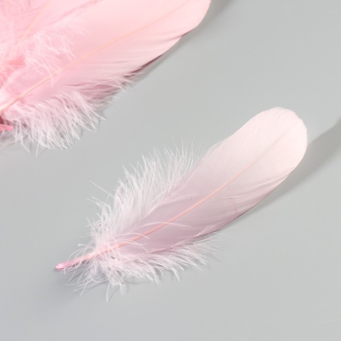 Набор перьев гуся 13-18 см, 20 шт, светло-розовый