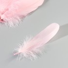 Набор перьев гуся 13-18 см, 20 шт, светло-розовый - фото 7007851