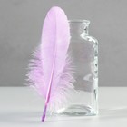 Набор перьев гуся 13-18 см, 20 шт, светло-фиолетовый - фото 282517350