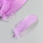 Набор перьев гуся 13-18 см, 20 шт, светло-фиолетовый - Фото 3