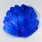 Набор перьев гуся 13-18 см, 20 шт, синий - Фото 2