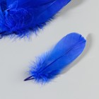 Набор перьев гуся 13-18 см, 20 шт, синий - фото 8098247