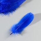Набор перьев гуся 13-18 см, 20 шт, синий - фото 8098248