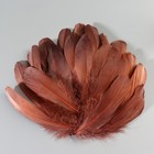 Набор перьев гуся 13-18 см, 20 шт, тёмно-коричневый - фото 7007865