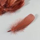 Набор перьев гуся 13-18 см, 20 шт, тёмно-коричневый - фото 7007866