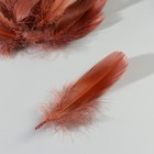 Набор перьев гуся 13-18 см, 20 шт, тёмно-коричневый - фото 7007867