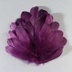 Набор перьев гуся 13-18 см, 20 шт, тёмно-фиолетовый - фото 7007873