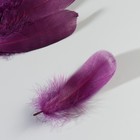 Набор перьев гуся 13-18 см, 20 шт, тёмно-фиолетовый - фото 22404451