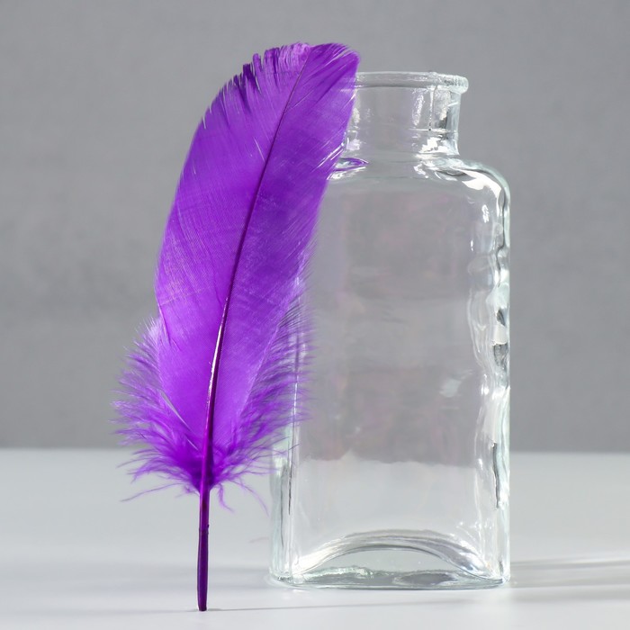 Набор перьев гуся 13-18 см, 20 шт, фиолетовый - Фото 1