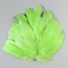 Набор перьев гуся 13-18 см, 20 шт, зелёное яблоко - фото 7007885