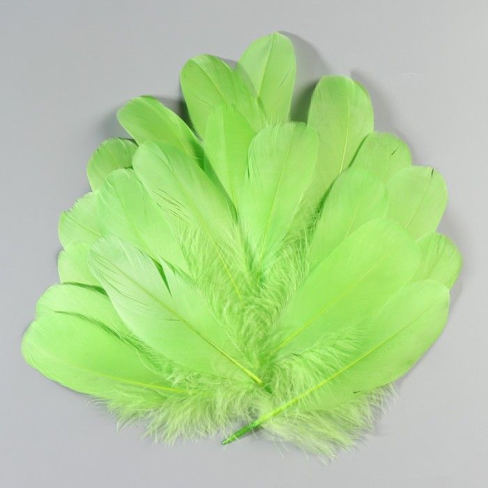 Набор перьев гуся 13-18 см, 20 шт, зелёное яблоко