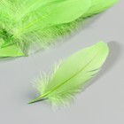 Набор перьев гуся 13-18 см, 20 шт, зелёное яблоко - фото 7007886