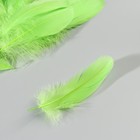 Набор перьев гуся 13-18 см, 20 шт, зелёное яблоко - фото 7007887