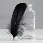 Набор перьев гуся 13-18 см, 20 шт, чёрный - фото 3081396