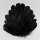 Набор перьев гуся 13-18 см, 20 шт, чёрный - фото 9930305