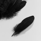 Набор перьев гуся 13-18 см, 20 шт, чёрный - фото 9930306
