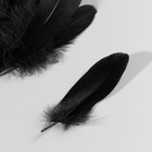 Набор перьев гуся 13-18 см, 20 шт, чёрный - фото 9930307