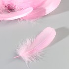 Набор перьев гуся 13-18 см, 20 шт, ярко-розовый - фото 7007895