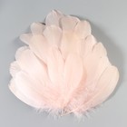 Набор перьев гуся 13-18 см, 20 шт, нежно розовый - фото 7007897