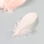 Набор перьев гуся 13-18 см, 20 шт, нежно розовый - фото 7007898