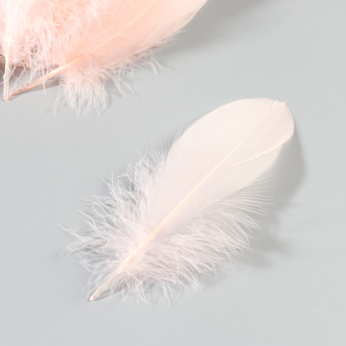 Набор перьев гуся 13-18 см, 20 шт, нежно розовый