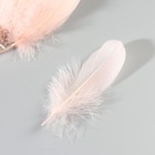 Набор перьев гуся 13-18 см, 20 шт, нежно розовый - фото 7007899