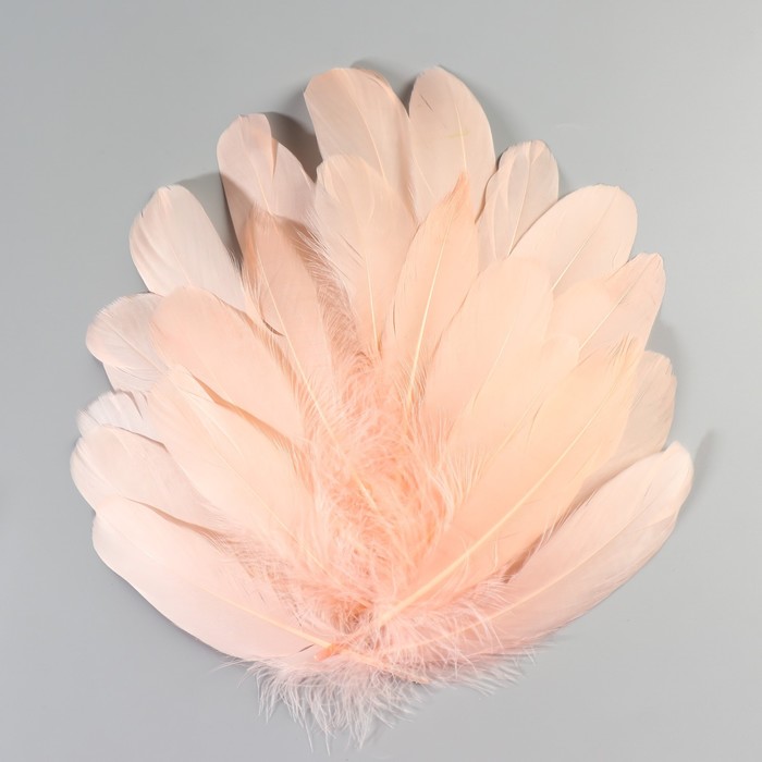 Набор перьев гуся 13-18 см, 20 шт, розовый