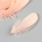 Набор перьев гуся 13-18 см, 20 шт, розовый - фото 7007902