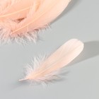 Набор перьев гуся 13-18 см, 20 шт, розовый - Фото 4