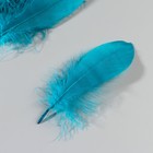 Набор перьев гуся 13-18 см, 20 шт, морской - фото 7007906