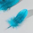 Набор перьев гуся 13-18 см, 20 шт, морской - фото 22404483