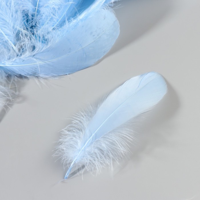Набор перьев гуся 13-18 см, 20 шт, светло-синий