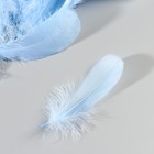 Набор перьев гуся 13-18 см, 20 шт, светло-синий - фото 7007911