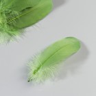 Набор перьев гуся 13-18 см, 20 шт, армейский зелёный - фото 7007914