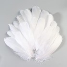 Набор перьев гуся 13-18 см, 20 шт, белый - фото 9930309