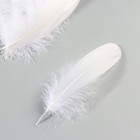 Набор перьев гуся 13-18 см, 20 шт, белый - Фото 3