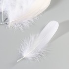 Набор перьев гуся 13-18 см, 20 шт, белый - фото 9930311
