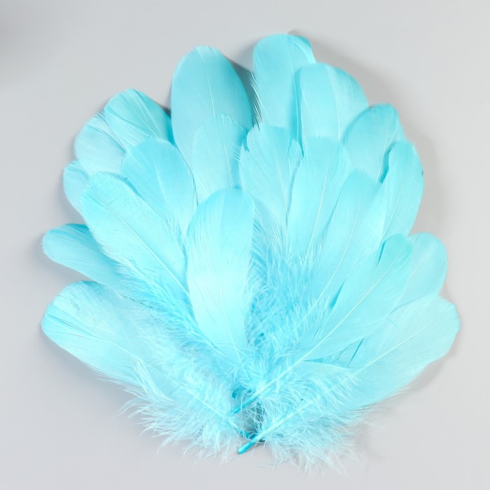 Набор перьев гуся 13-18 см, 20 шт, голубой