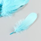 Набор перьев гуся 13-18 см, 20 шт, голубой - фото 22404498