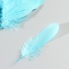 Набор перьев гуся 13-18 см, 20 шт, голубой - фото 7007923