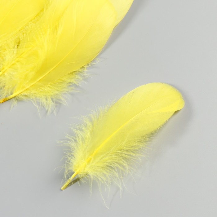 Набор перьев гуся 13-18 см, 20 шт, жёлтый