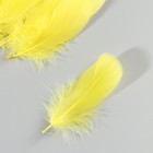 Набор перьев гуся 13-18 см, 20 шт, жёлтый - фото 7007927