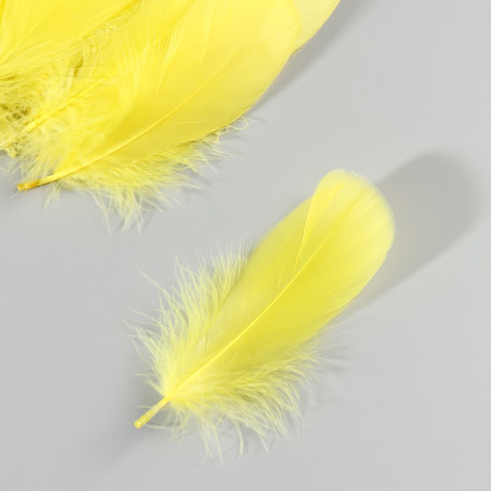Набор перьев гуся 13-18 см, 20 шт, жёлтый