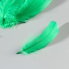 Набор перьев гуся 13-18 см, 20 шт, зелёный - Фото 3